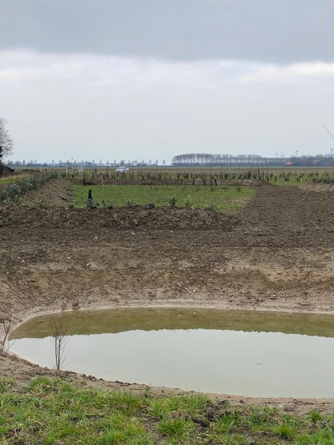 Natuurhuisjes Lust En Last Sommelsdijk Ngoại thất bức ảnh