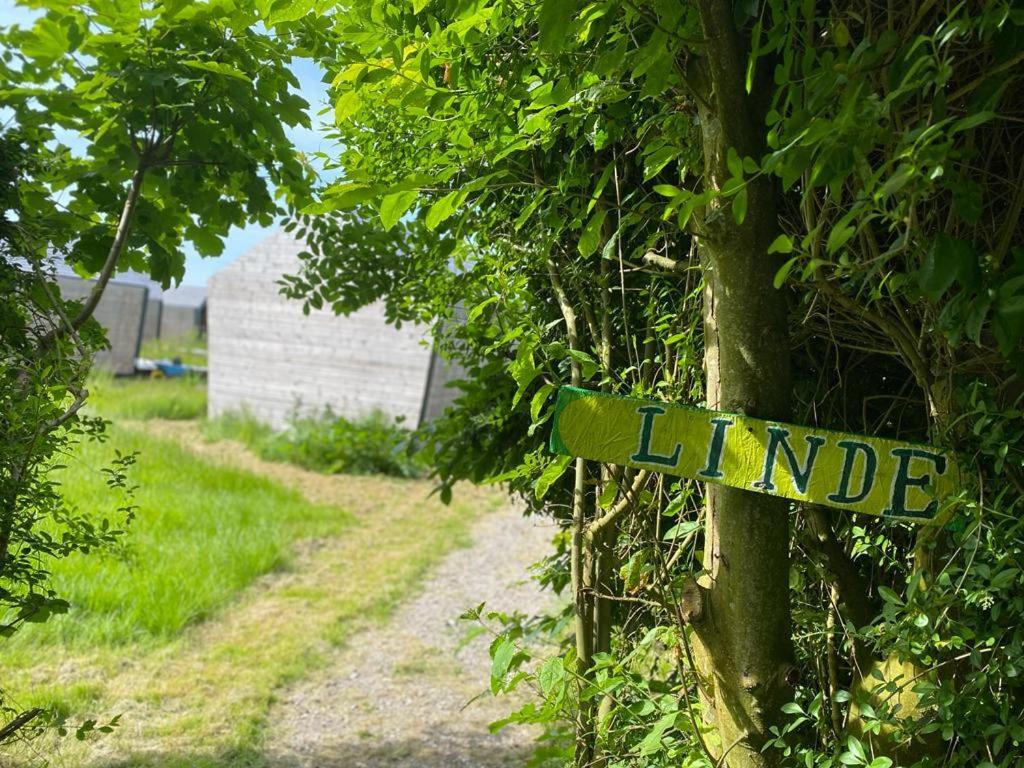Natuurhuisjes Lust En Last Sommelsdijk Ngoại thất bức ảnh